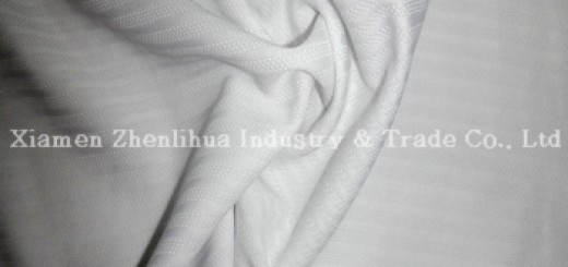 4-polyester-mini-jacquard-knitting-fabrics-white-75d-72f-105-inch-140g